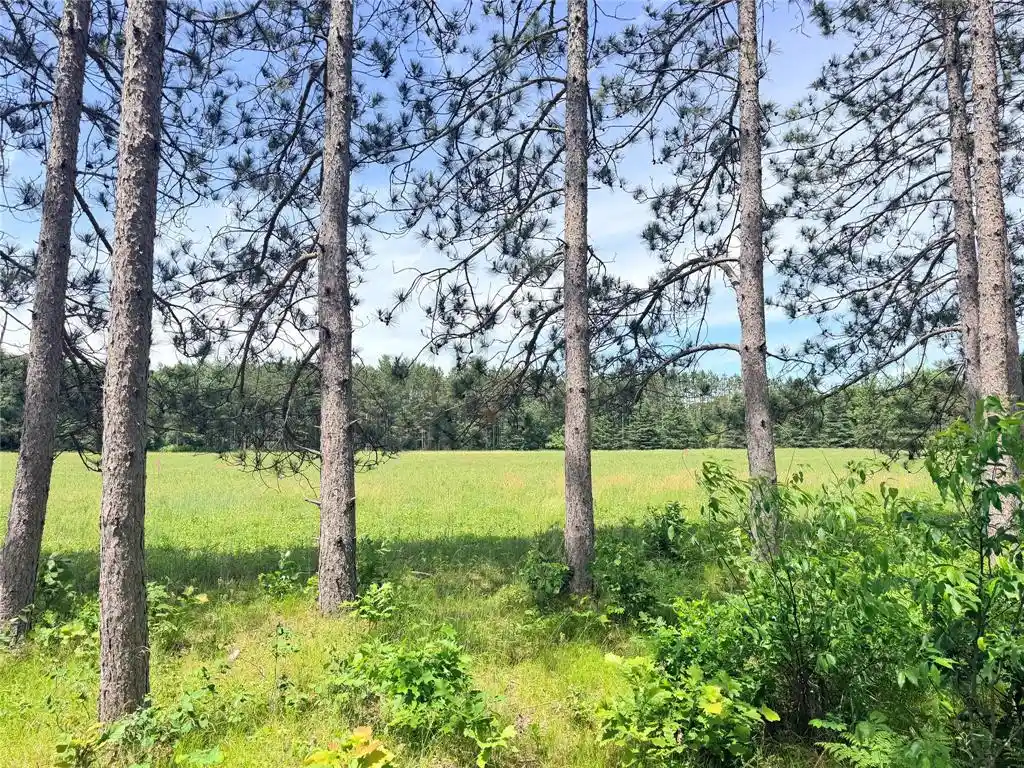 Homes for sale in Ladysmith, WI | 0 Boat Landing Road Road, Ladysmith, WI 54848 | MLS# 1602345