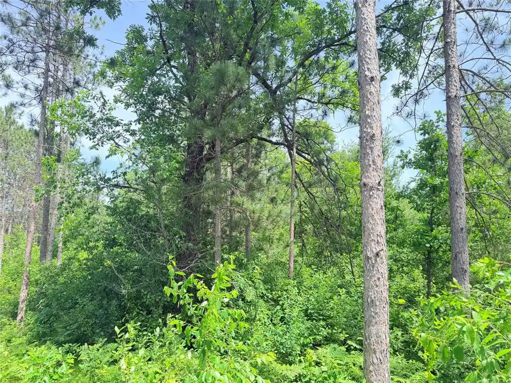 Homes for sale in Ladysmith, WI | 0 Boat Landing Road Road, Ladysmith, WI 54848 | MLS# 1602345