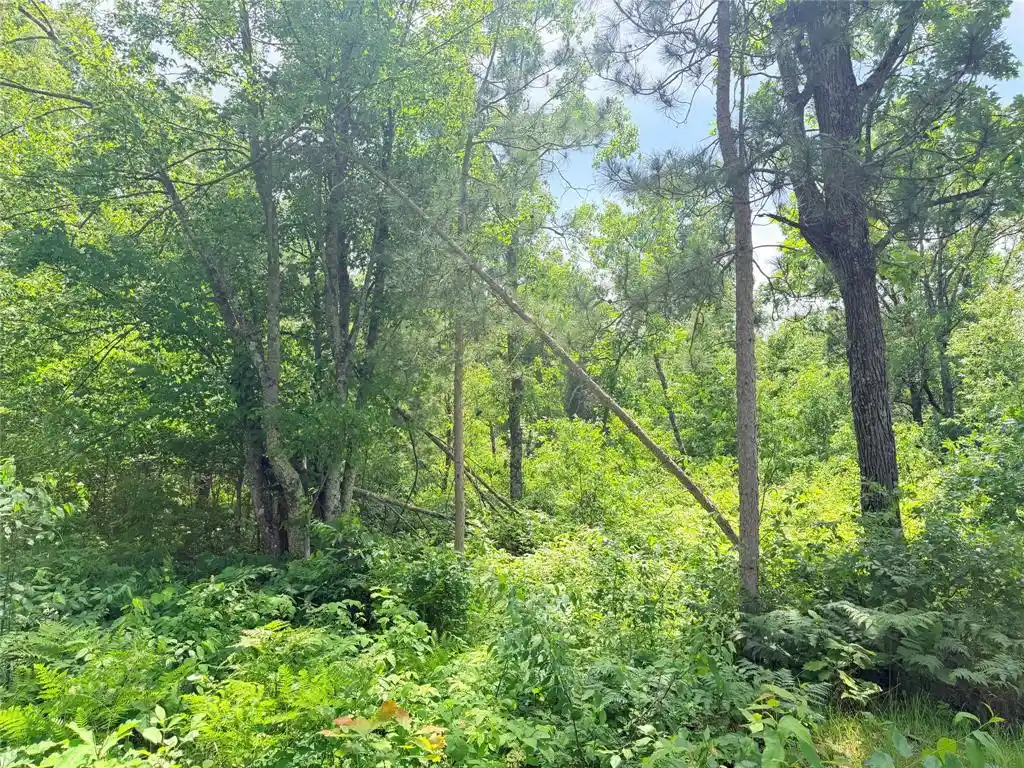 Homes for sale in Ladysmith, WI | 0 Boat Landing Road Road, Ladysmith, WI 54848 | MLS# 1602345