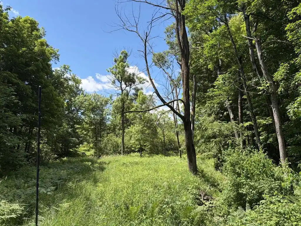Homes for sale in Exeland, WI | 12629 W Fairman Lane Lane, Exeland, WI 54548 | MLS# 1602422