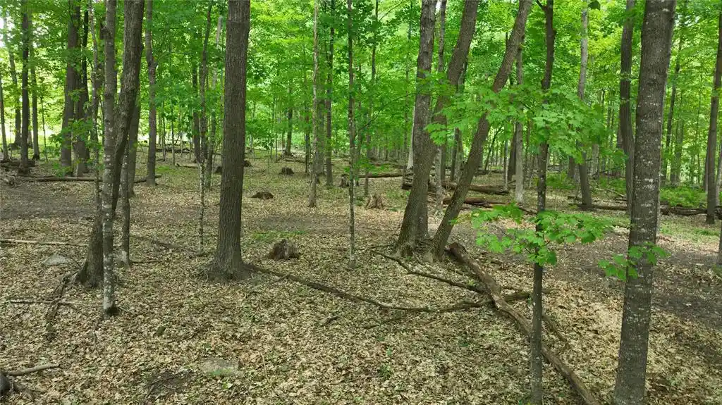 2nd image of Xx County Rd Q, Downing, WI 54734 | MLS# 1602322