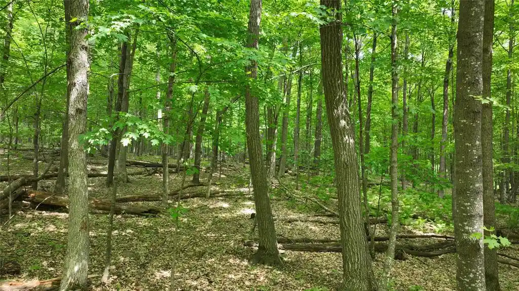 4th image of Xx County Rd Q, Downing, WI 54734 | MLS# 1602322