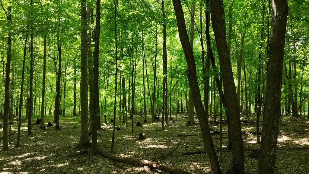 5th image of Xx County Rd Q, Downing, WI 54734 | MLS# 1602322