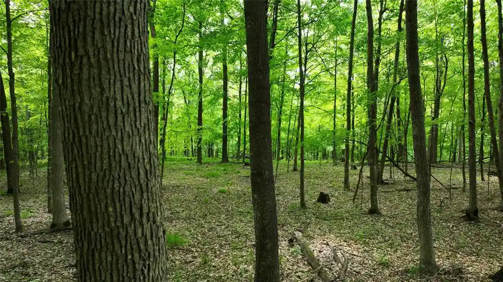 46th image of Xx County Rd Q, Downing, WI 54734 | MLS# 1602322