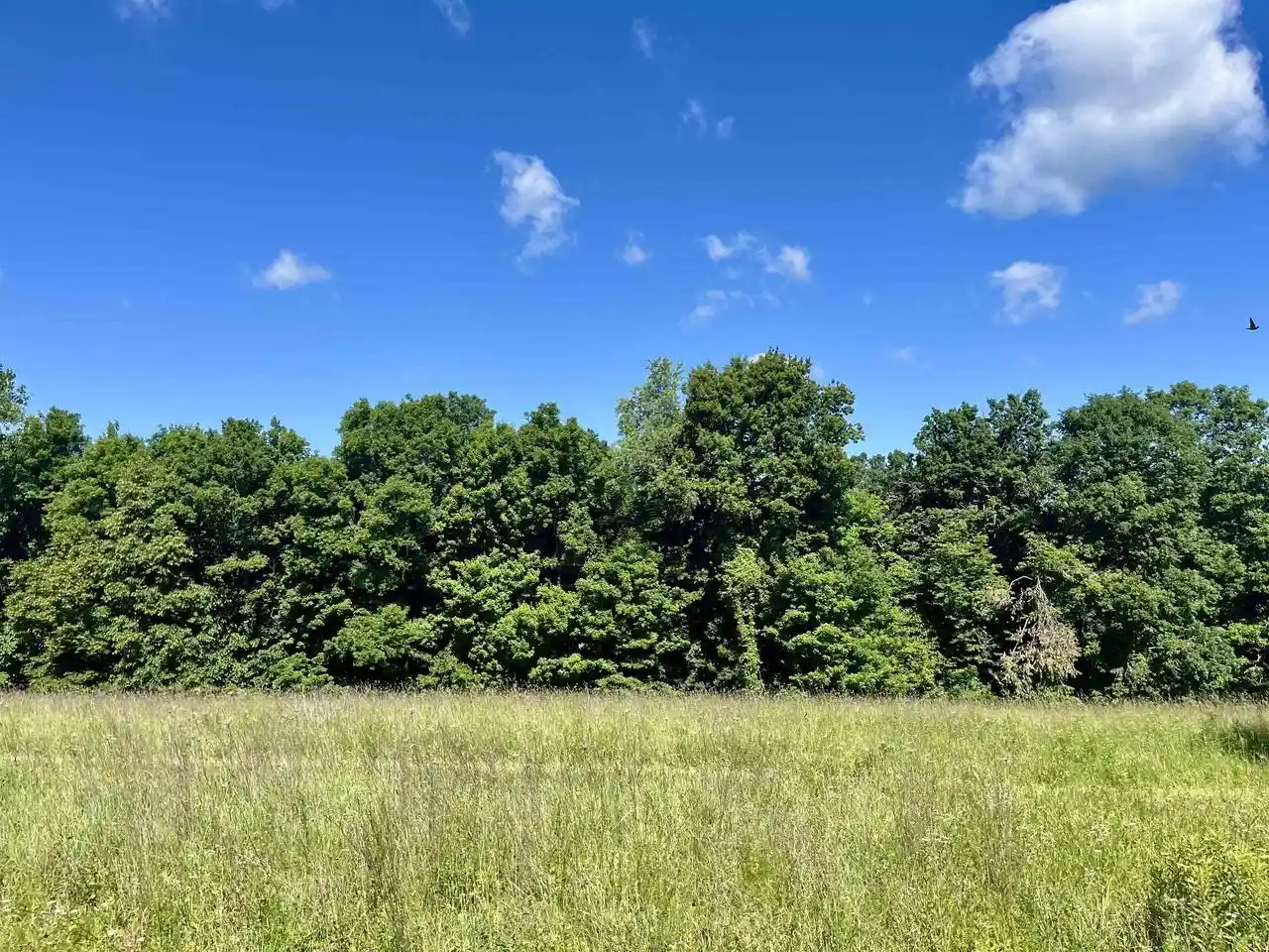 Homes for sale in Gays Mills, WI | Hwy 131, Gays Mills, WI 54631 | MLS# 2026366