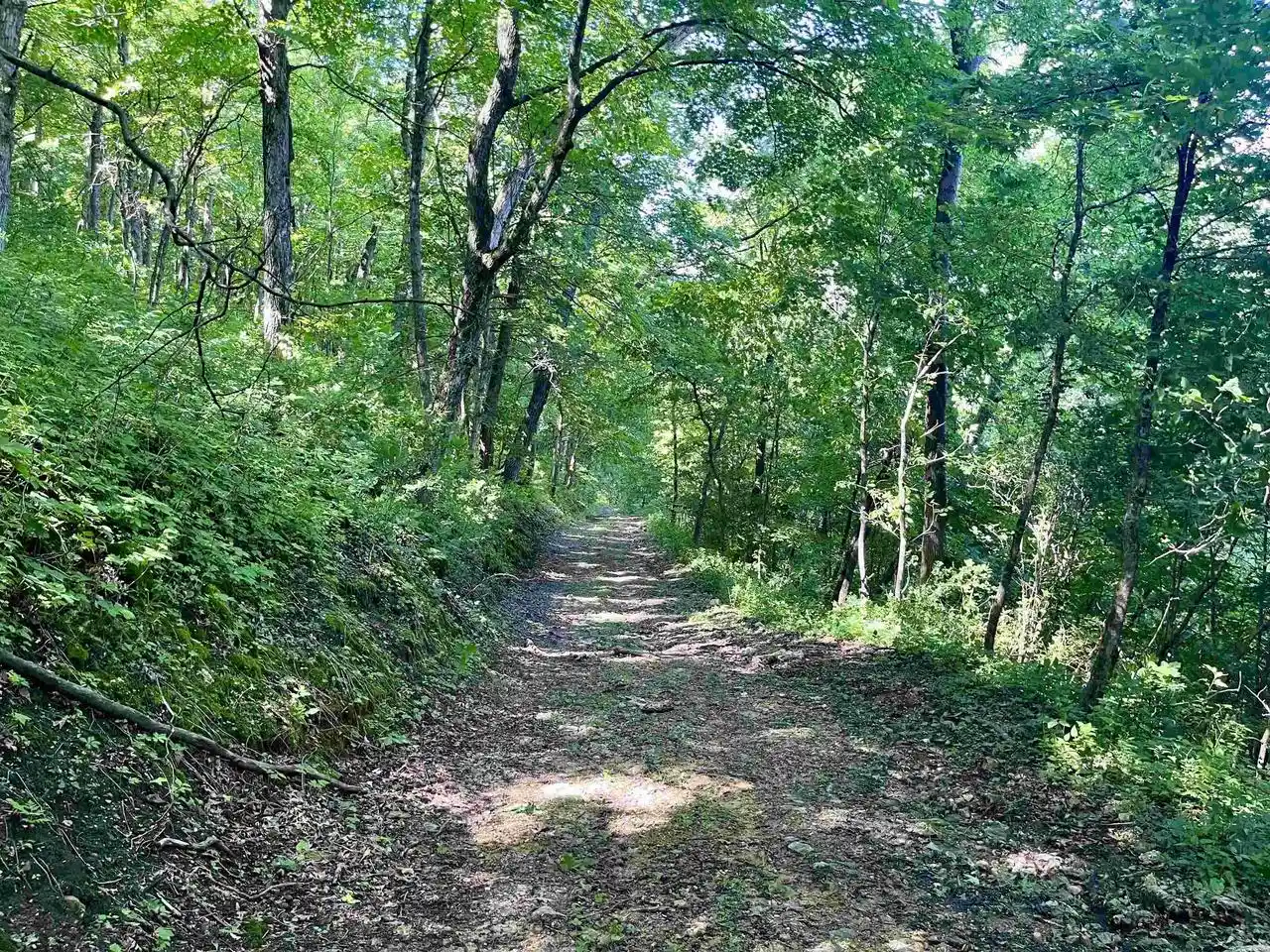 Homes for sale in Gays Mills, WI | Hwy 131, Gays Mills, WI 54631 | MLS# 2026366
