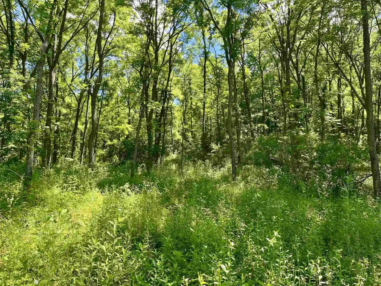 Homes for sale in Gays Mills, WI | Hwy 131, Gays Mills, WI 54631 | MLS# 2026366