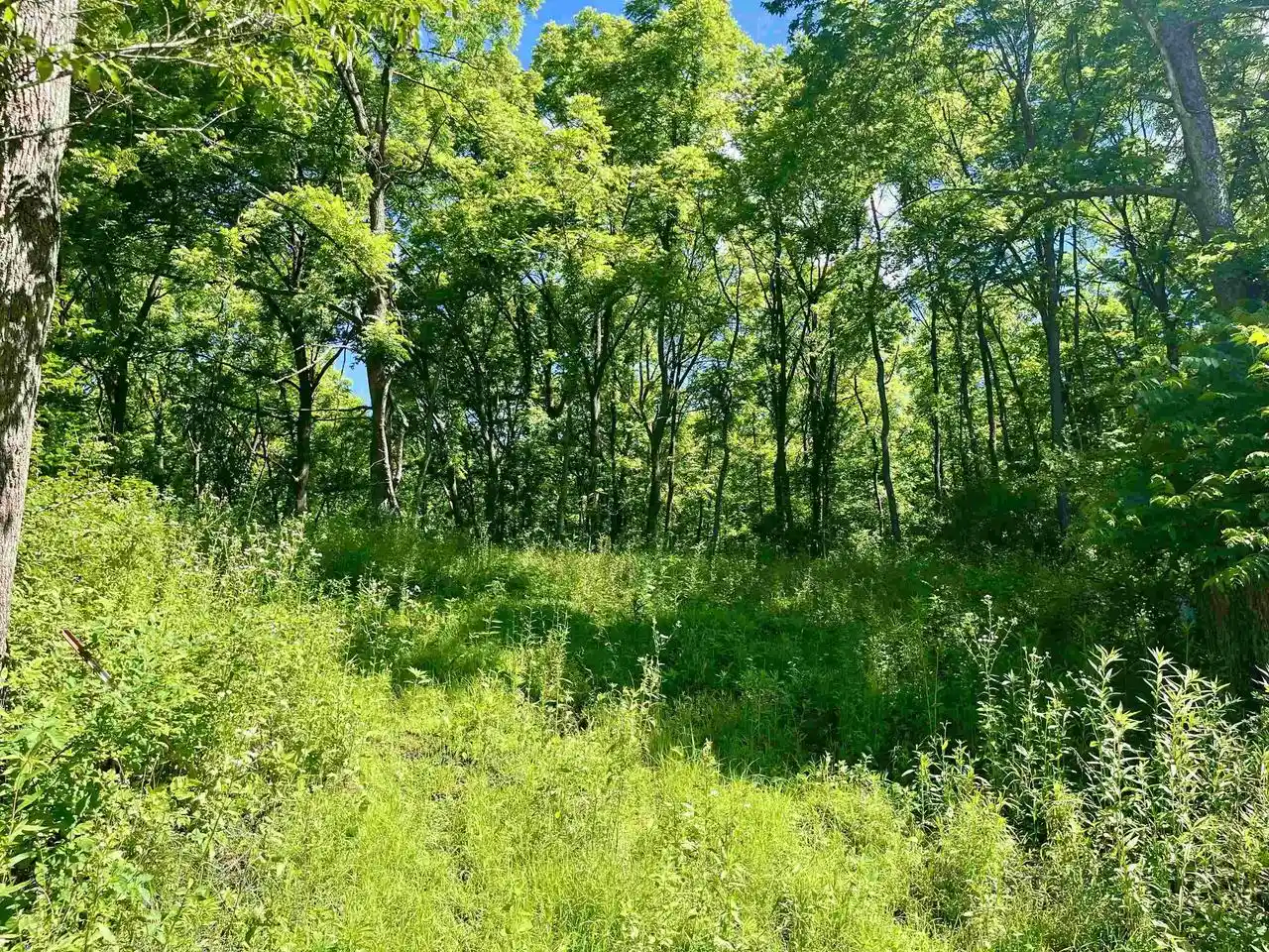Homes for sale in Gays Mills, WI | Hwy 131, Gays Mills, WI 54631 | MLS# 2026366