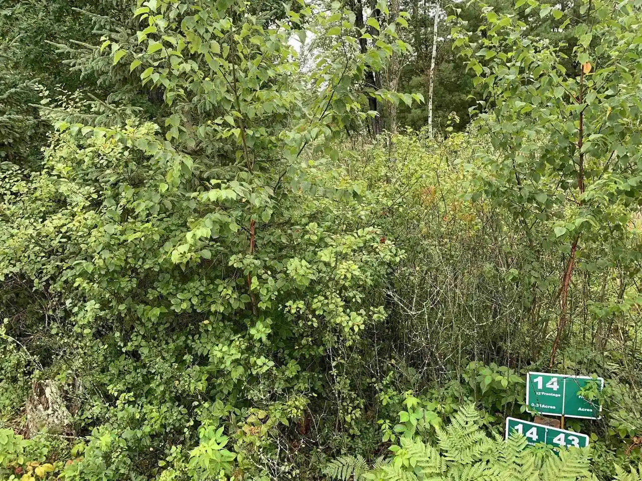 Photo 3 of Land for sale at Lot 14 Wood Duck Trail Trail, Wisconsin Rapids, WI 54457 | MLS# 22602850 | Listing updated on 2026-06-22