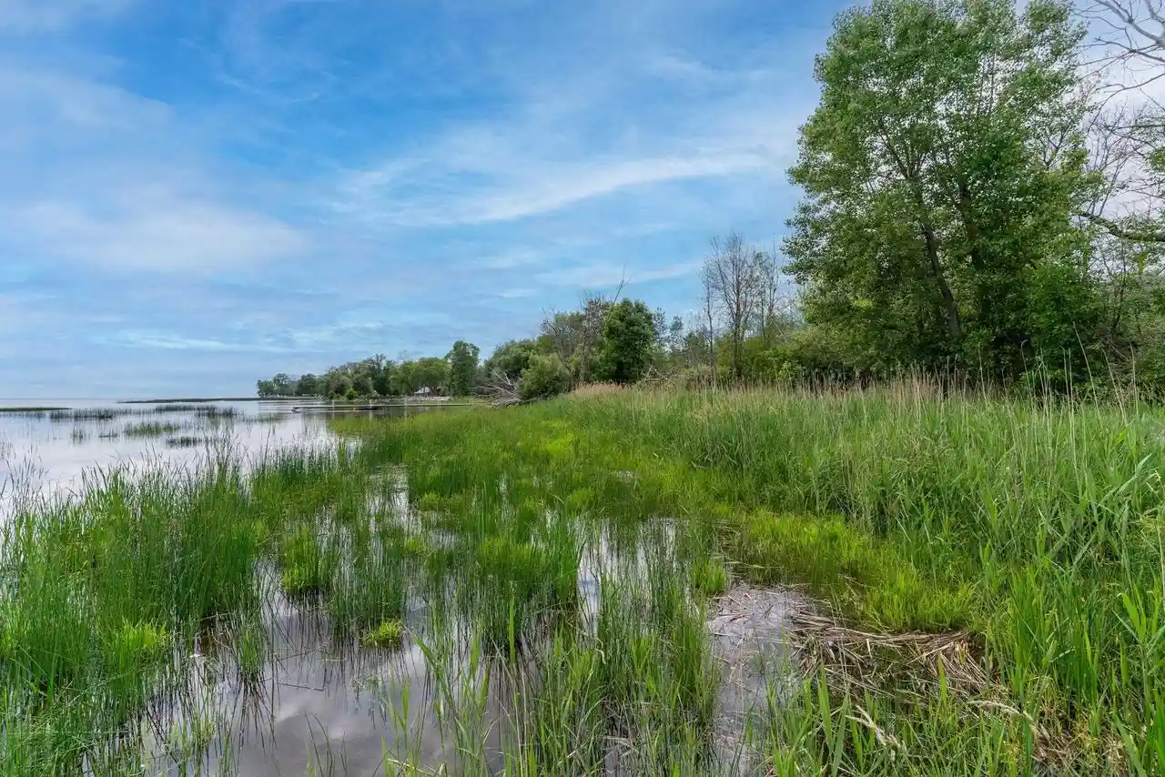 Photo 3 of Land for sale at 5372 County Road N, Oconto, WI 54153 | MLS# 50327754 | Listing updated on 2026-08-18