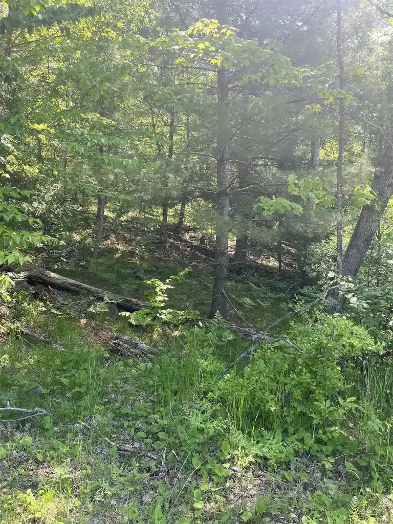 1st image of Lake John Road Road, Lakewood, WI 54138 | MLS# 50327782