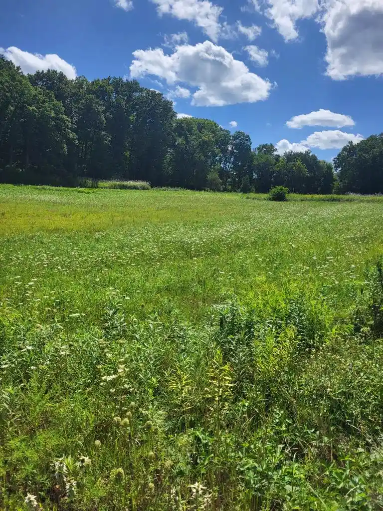 Photo 3 of Land for sale at N9044 Pilar Road Road, Holmen, WI 54636 | MLS# 1968382 | Listing updated on 2026-09-03