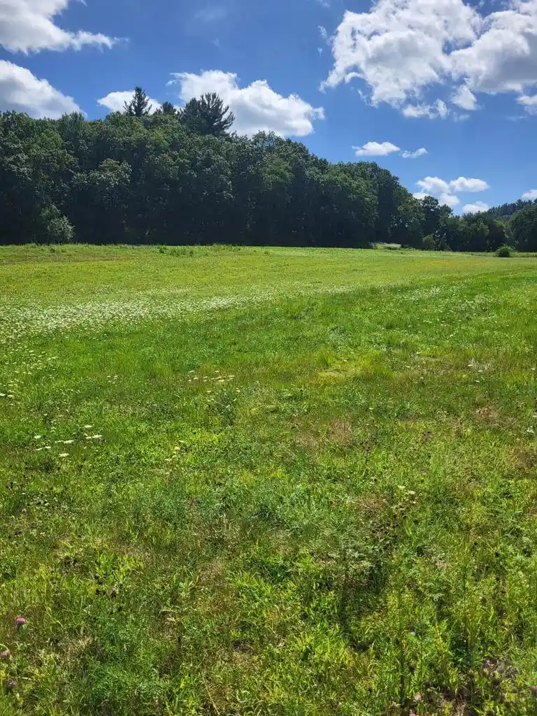 Photo 4 of Land for sale at N9044 Pilar Road Road, Holmen, WI 54636 | MLS# 1968382 | Listing updated on 2026-09-03
