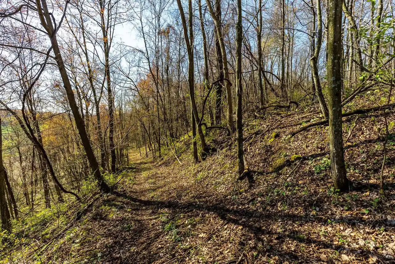 Photo 2 of Land for sale at Lt2 Eli Valley Road Road, Loganville, WI 53943 | MLS# 1968155 | Listing updated on 2026-08-05