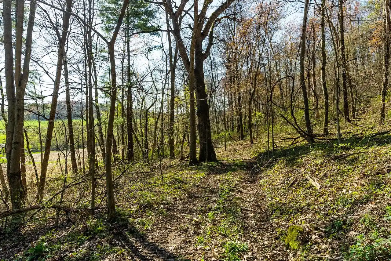 Photo 3 of Land for sale at Lt2 Eli Valley Road Road, Loganville, WI 53943 | MLS# 1968155 | Listing updated on 2026-08-05