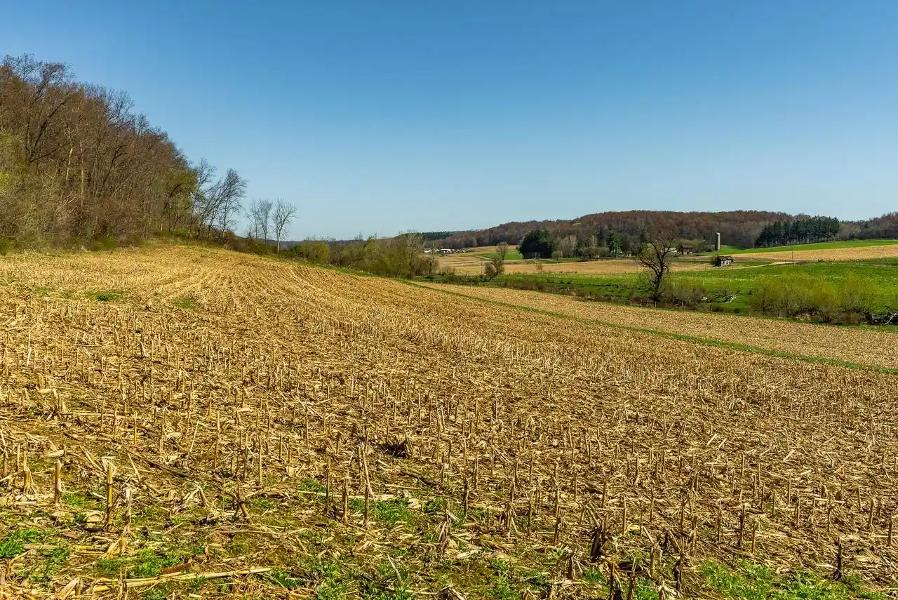 Photo 3 of Land for sale at Lt2 Eli Valley Road Road, Loganville, WI 53943 | MLS# 1968155 | Listing updated on 2026-08-05