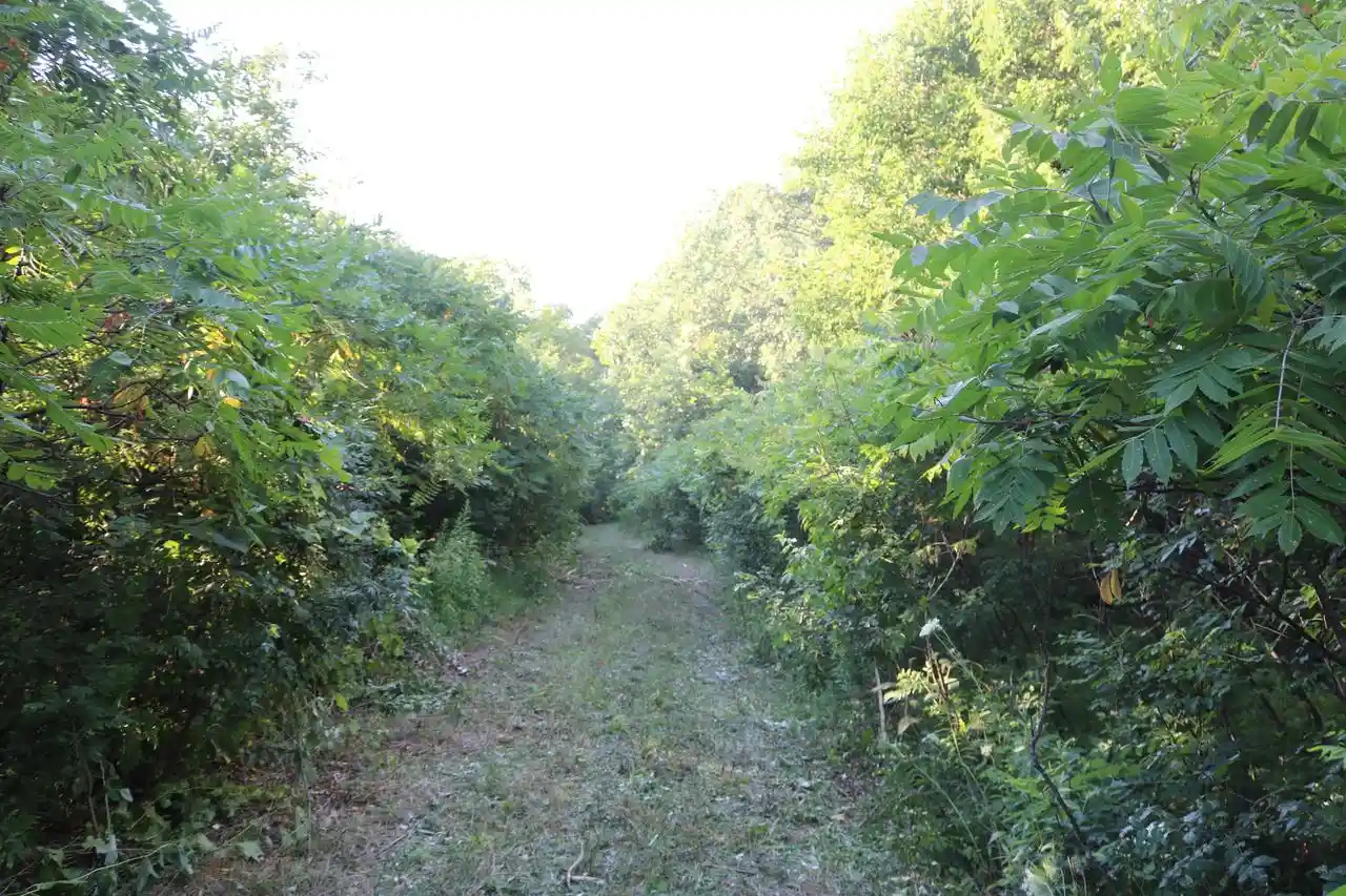 5th image of Lt263200 E Hancock Road Road, Watertown, WI 53098 | MLS# 1968476