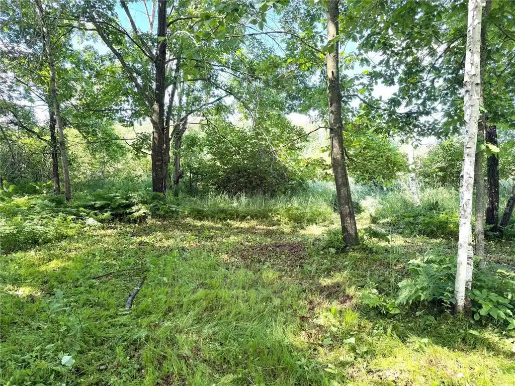 2nd image of Tbd West Bone Lake Dr, Milltown, WI 54858 | MLS# 7095853