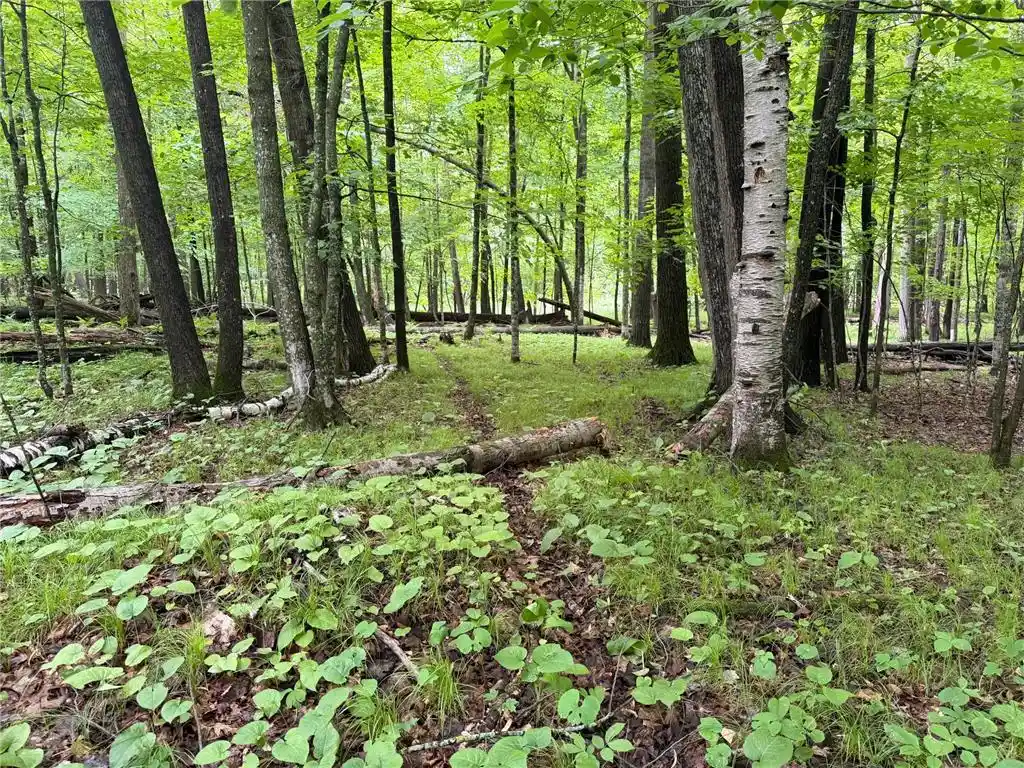 Photo 3 of Sale Pending at Tbd West Bone Lake Dr, Milltown, WI 54858 | MLS# 7095853 | Listing updated on 2026-09-23