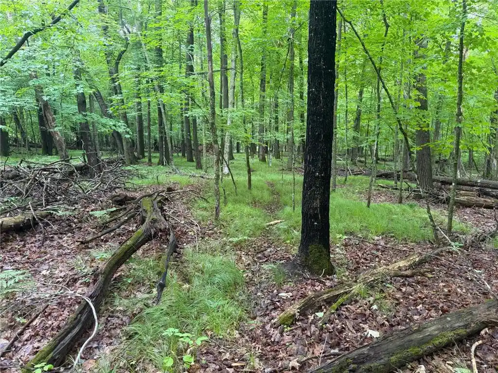 Photo 4 of Sale Pending at Tbd West Bone Lake Dr, Milltown, WI 54858 | MLS# 7095853 | Listing updated on 2026-09-23