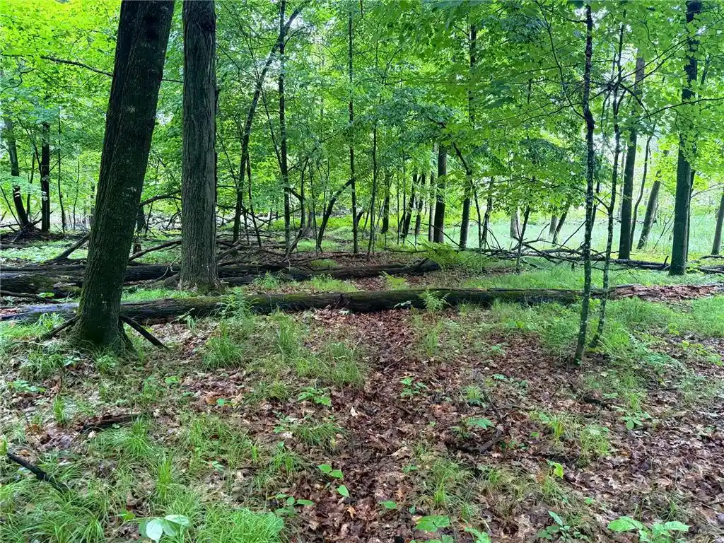 27th image of Tbd West Bone Lake Dr, Milltown, WI 54858 | MLS# 7095853