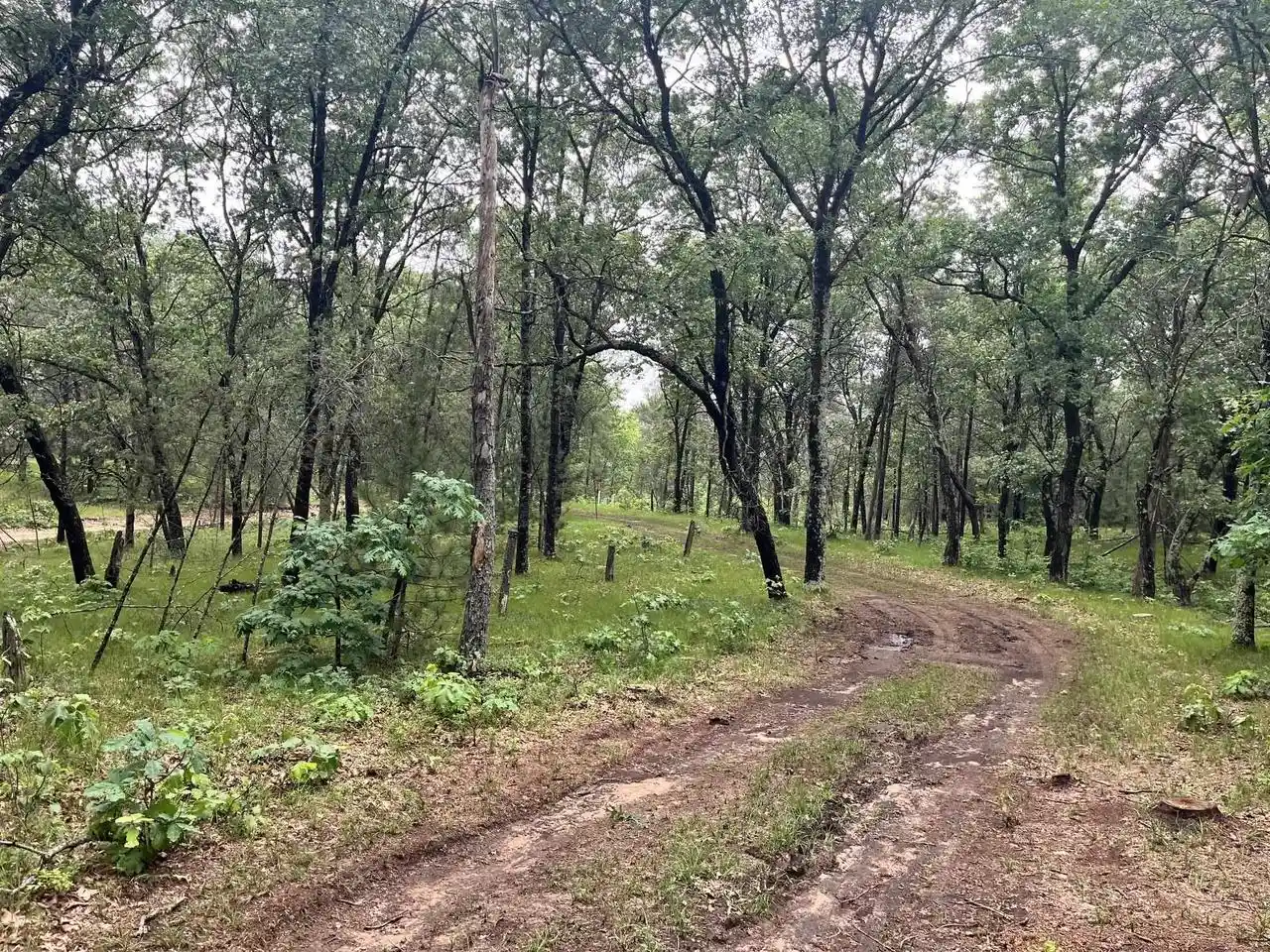 2nd image of 732 W 15th Dr Dr, Nekoosa, WI 54457 | MLS# 2026342