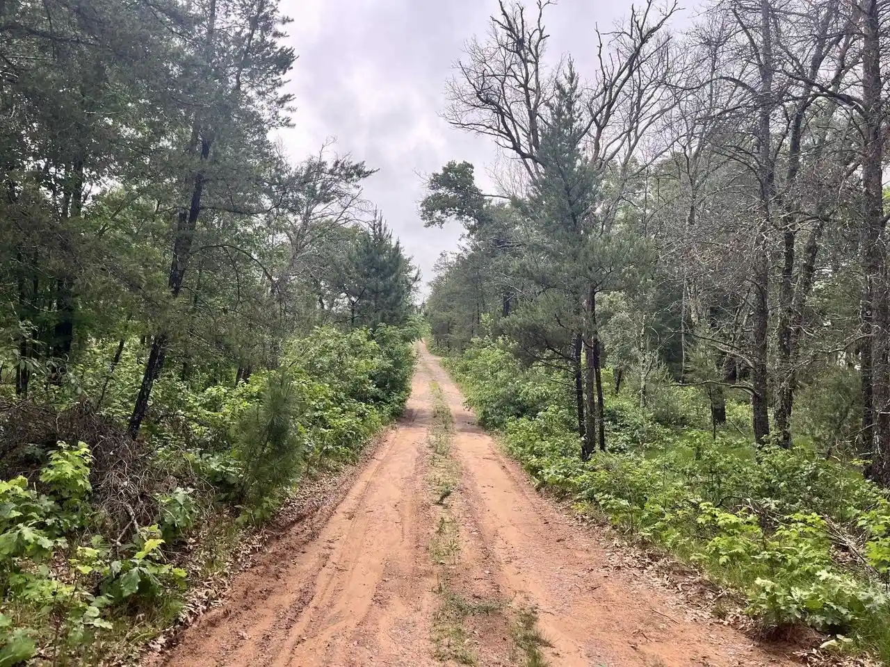 3rd image of 732 W 15Th Dr Dr, Nekoosa, WI 54457 | MLS# 2026342