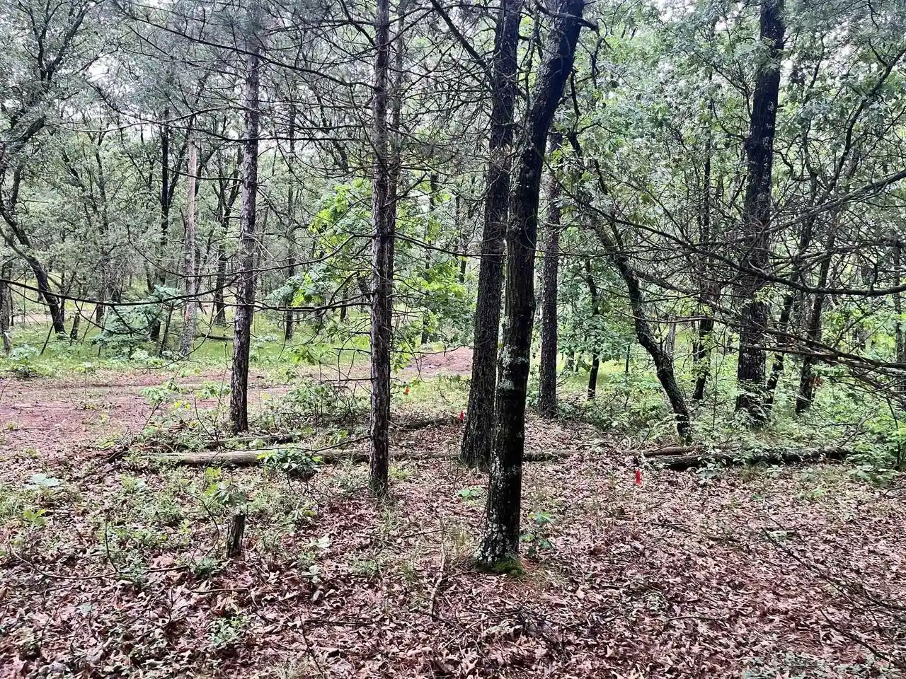 61st image of 732 W 15th Dr Dr, Nekoosa, WI 54457 | MLS# 2026342