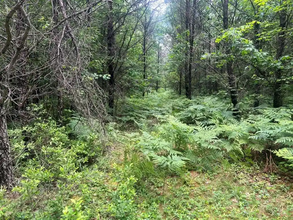 Homes for sale in Pittsville, WI | 0 Old 54 Hwy Hwy, Pittsville, WI 54466 | MLS# 1602495