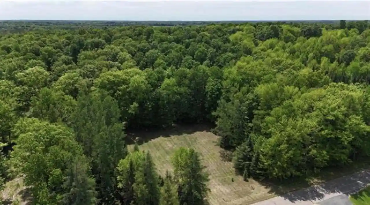 Homes for sale in Birnamwood, WI | Hill Road Road, Birnamwood, WI 54414 | MLS# 50327780