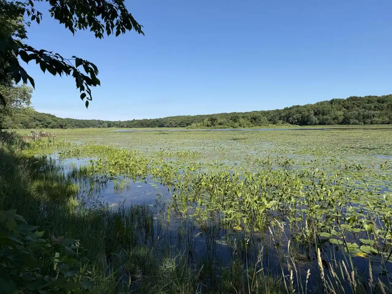 Homes for sale in Elkhorn, WI | Lots 47 50 W Lakeshore Dr Dr, Elkhorn, WI 53121 | MLS# 2026435