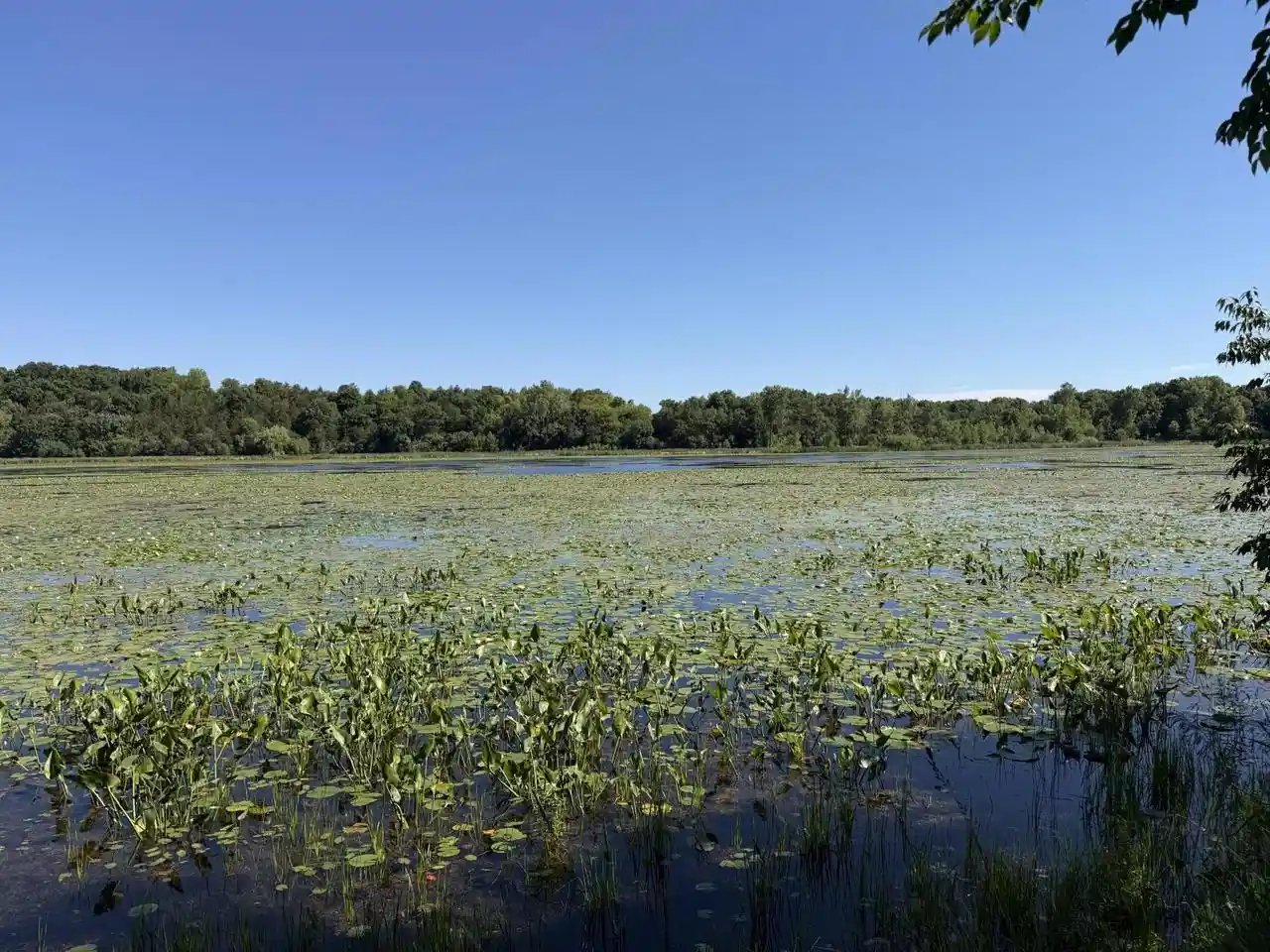 Photo 3 of Land for sale at Lots 47 50 W Lakeshore Dr Dr, Elkhorn, WI 53121 | MLS# 2026435 | Listing updated on 2026-09-25