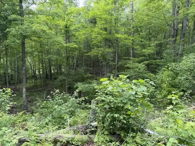5th image of 17021 N Wapota Dr Dr, Townsend, WI 54175 | MLS# 50327763