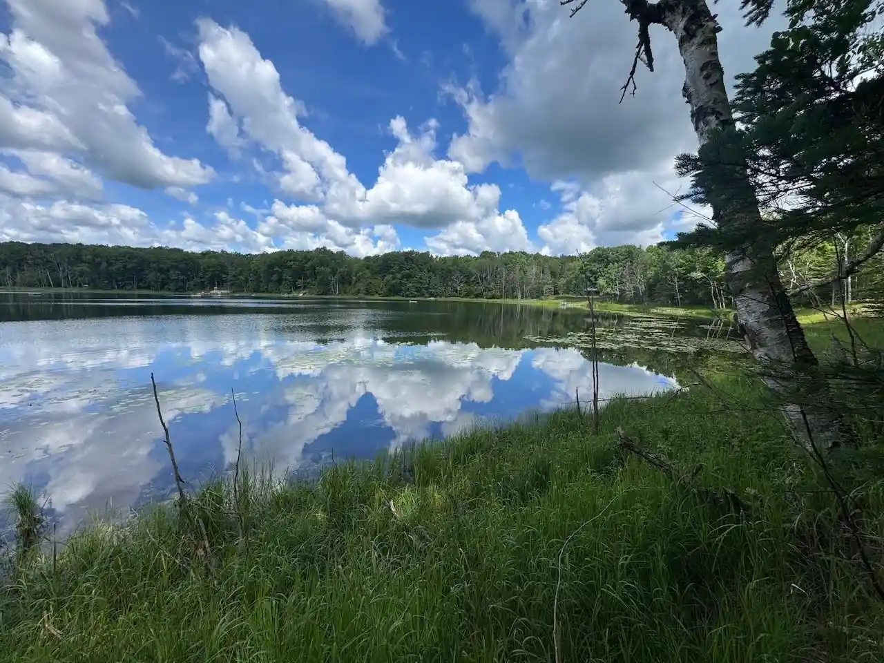 Homes for sale in Athelstane, WI | Blue Heron Lane Lane, Athelstane, WI 54104 | MLS# 50327866