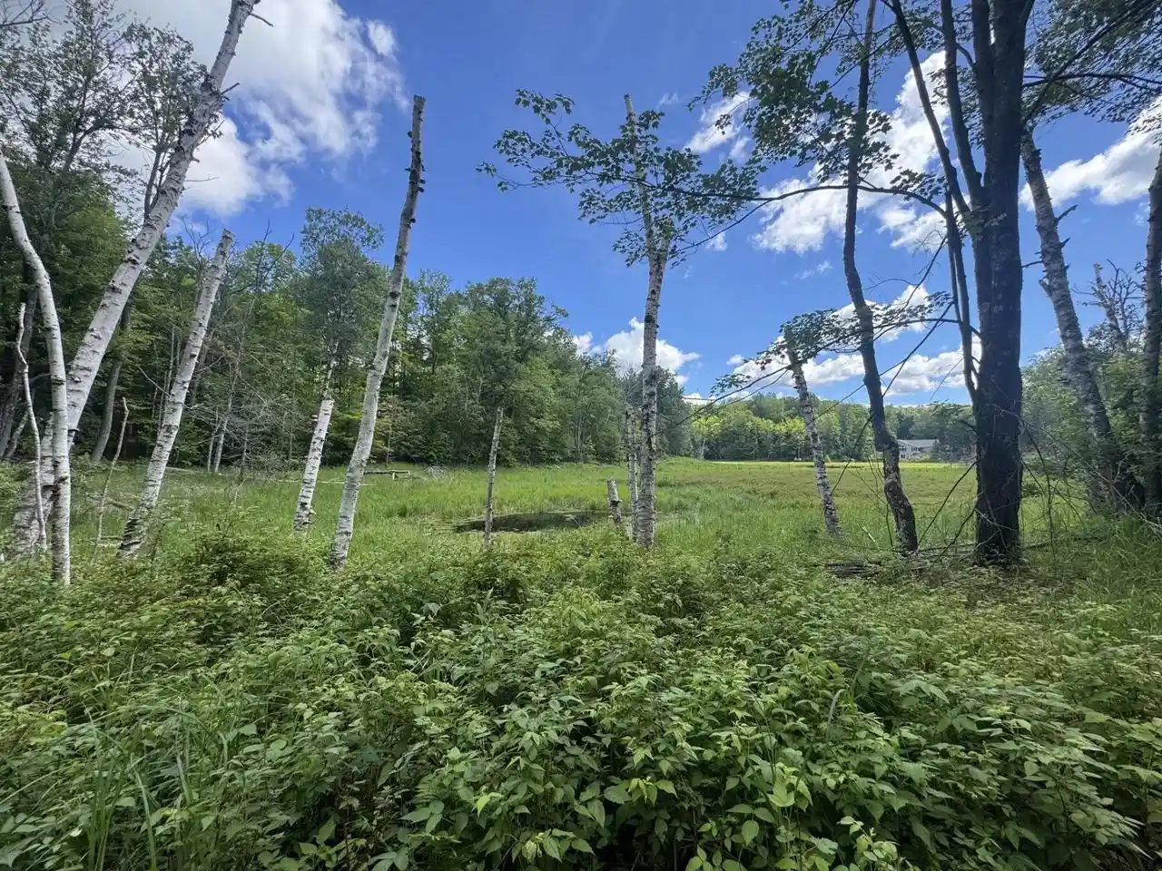 Homes for sale in Athelstane, WI | Blue Heron Lane Lane, Athelstane, WI 54104 | MLS# 50327866