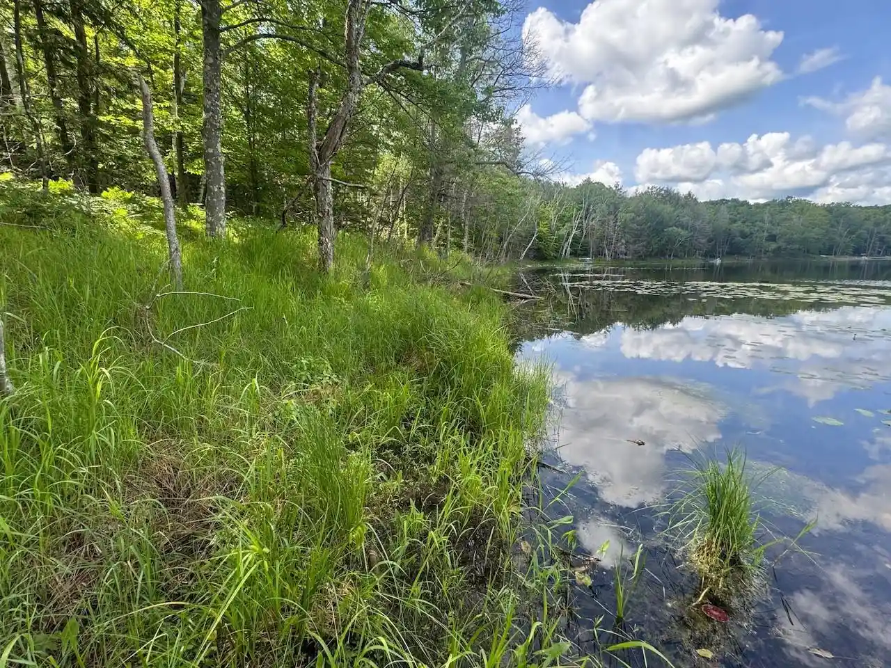 Homes for sale in Athelstane, WI | Blue Heron Lane Lane, Athelstane, WI 54104 | MLS# 50327866