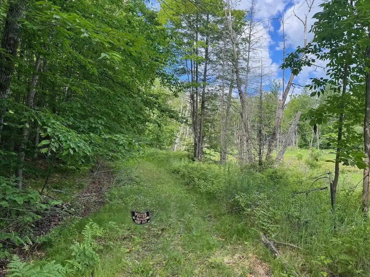 Homes for sale in Athelstane, WI | Blue Heron Lane Lane, Athelstane, WI 54104 | MLS# 50327866