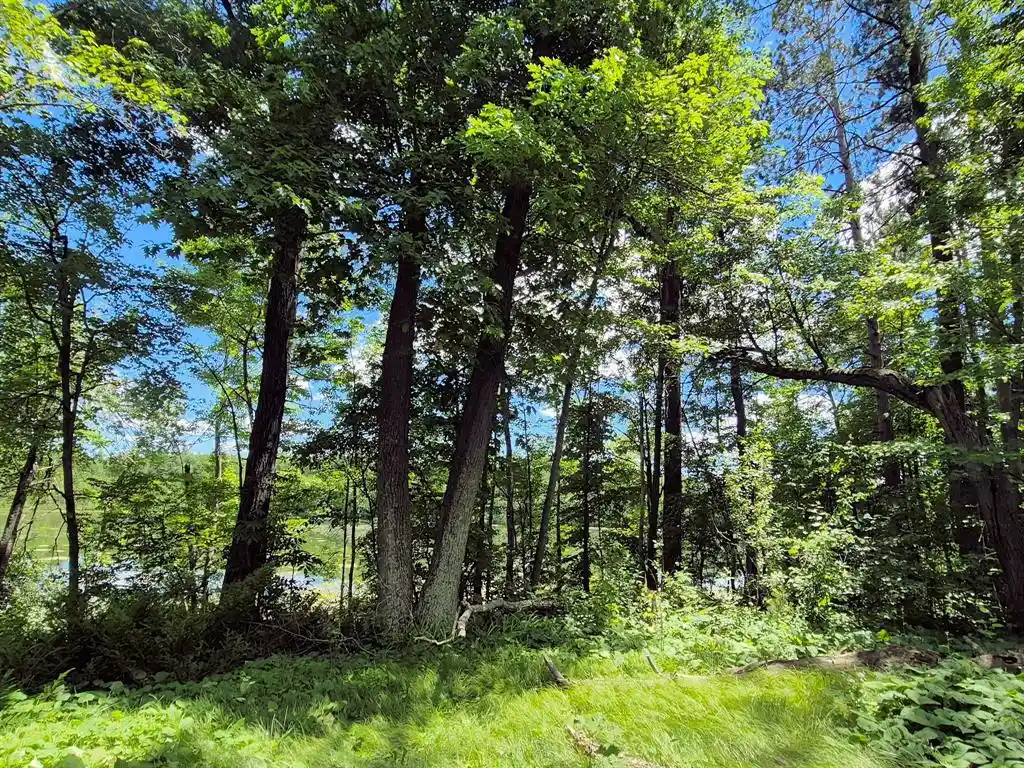 4th image of 9341 Nyberg Road Road, Hayward, WI 54843 | MLS# 1602291