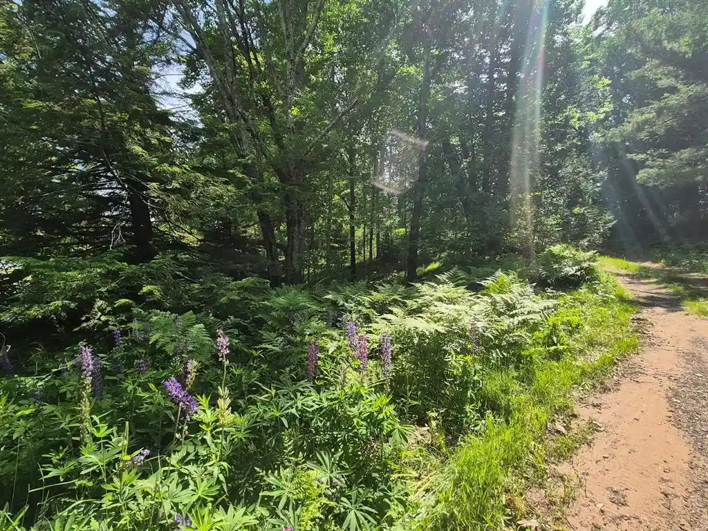5th image of 9341 Nyberg Road Road, Hayward, WI 54843 | MLS# 1602291