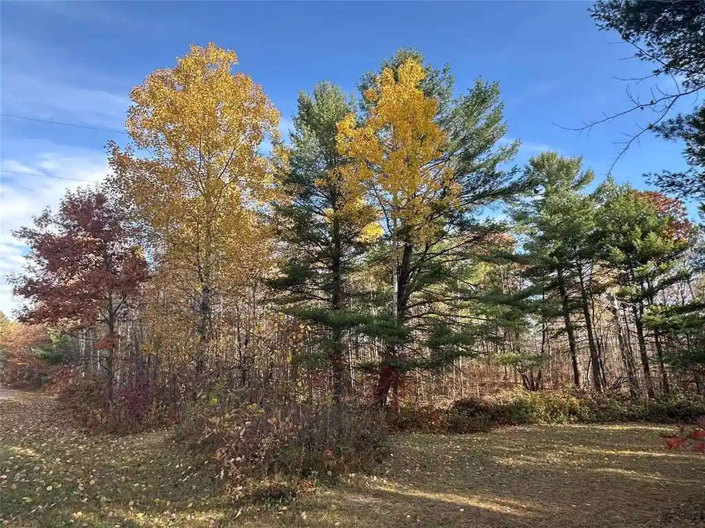 Homes for sale in Springbrook, WI | Xx Shore Dr, Springbrook, WI 54875 | MLS# 1602477