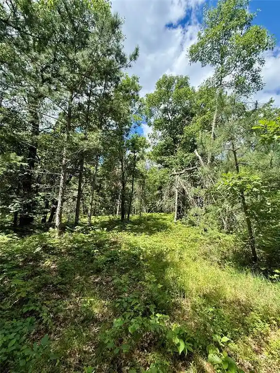 Homes for sale in Minong, WI | 0 St Croix Trail, Minong, WI 54859 | MLS# 1602480