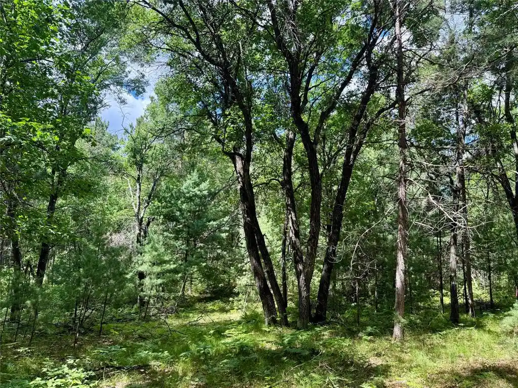 Homes for sale in Minong, WI | 0 St Croix Trail, Minong, WI 54859 | MLS# 1602480