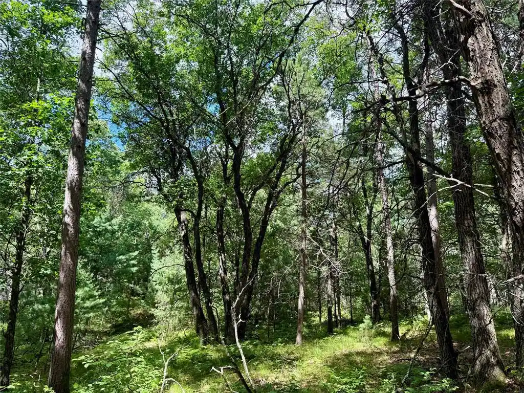 Homes for sale in Minong, WI | 0 St Croix Trail, Minong, WI 54859 | MLS# 1602480