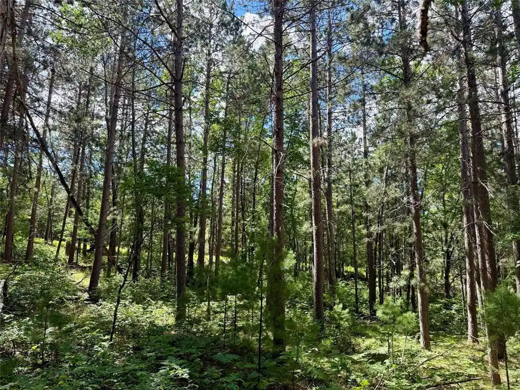 Homes for sale in Minong, WI | 0 St Croix Trail, Minong, WI 54859 | MLS# 1602480