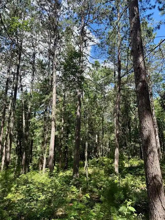 Homes for sale in Minong, WI | 0 St Croix Trail, Minong, WI 54859 | MLS# 1602480