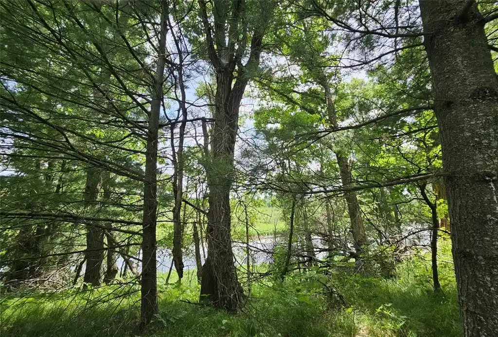 1st image of Lot 2 Gaslyn Road Road, Webster, WI 54893 | MLS# 1602443
