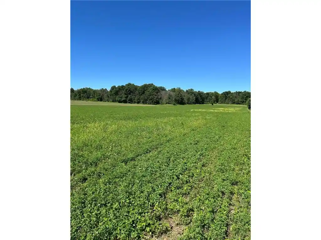 Photo 2 of Land for sale at Tbd Old Cty Rd B, Woodville, WI 54028 | MLS# 7096687 | Listing updated on 2026-09-07