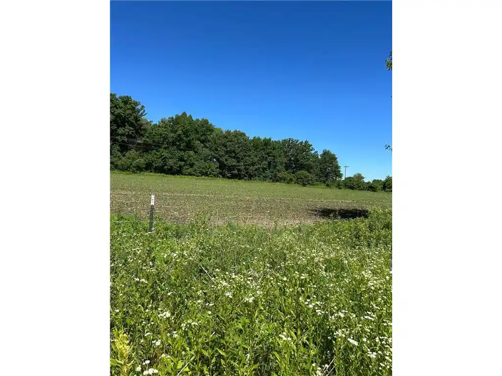 Photo 3 of Land for sale at Tbd Old Cty Rd B, Woodville, WI 54028 | MLS# 7096687 | Listing updated on 2026-09-07