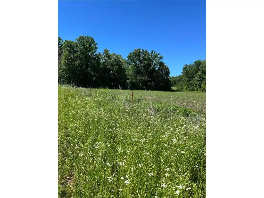 Photo 3 of Land for sale at Tbd Old Cty Rd B, Woodville, WI 54028 | MLS# 7096687 | Listing updated on 2026-09-07