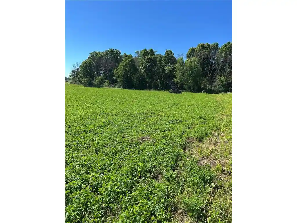 Photo 4 of Land for sale at Tbd Old Cty Rd B, Woodville, WI 54028 | MLS# 7096687 | Listing updated on 2026-09-07